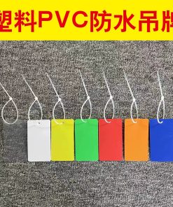 Colored Plastic Hanging Tag for Express Shipping and Plant ID - Model: 998554307611