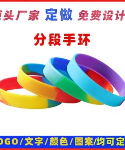 Party Wristband for Events with Custom Text - Model: 732040255806