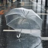 Transparent Umbrella for Rain with Clear Canopy for Outdoor Advertising - Model: 869160639364