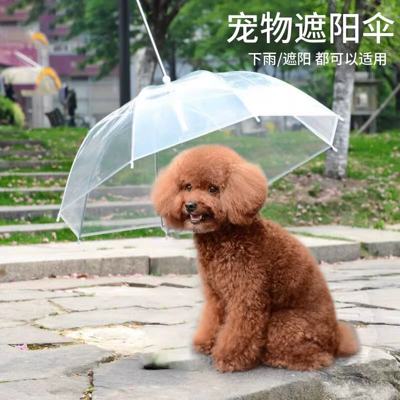 Dog Walking Umbrella for Rainy Days with Adjustable Leash - Model: 1044467944458 - 图片 3