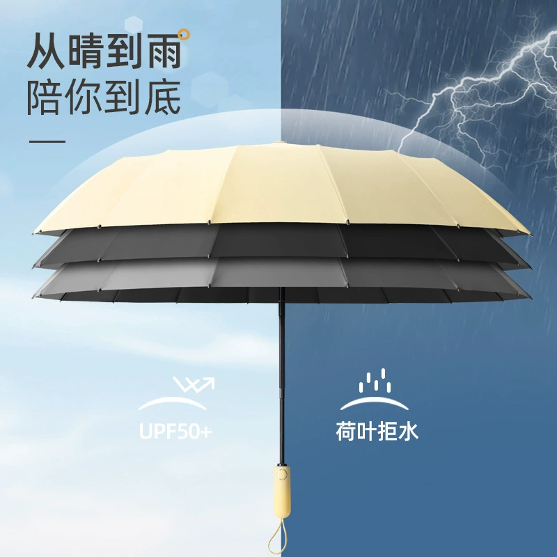 Automatic Umbrella for Rain and Sun Protection with Windproof Design - Model: 769732325998 - 图片 3